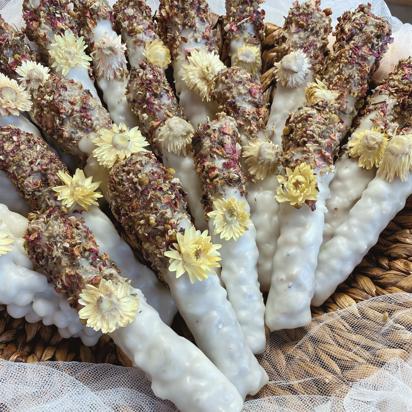 Group picture of Witch candles Holy Mullein Torch