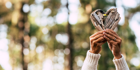 Five Herbs for Psychic Protection