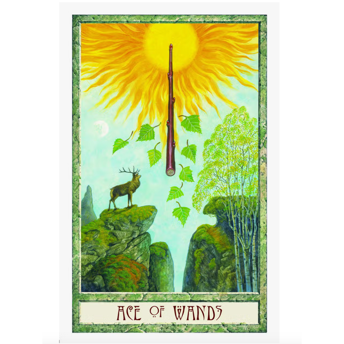 The Druid Card Tarot  Deck - Ace of Wands