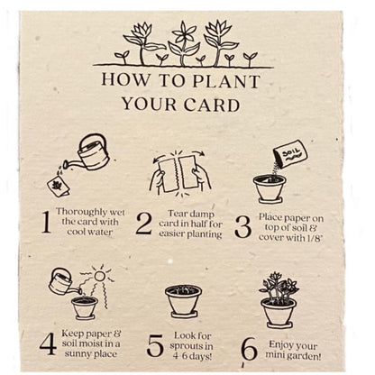 How to plant your greeting card instructions