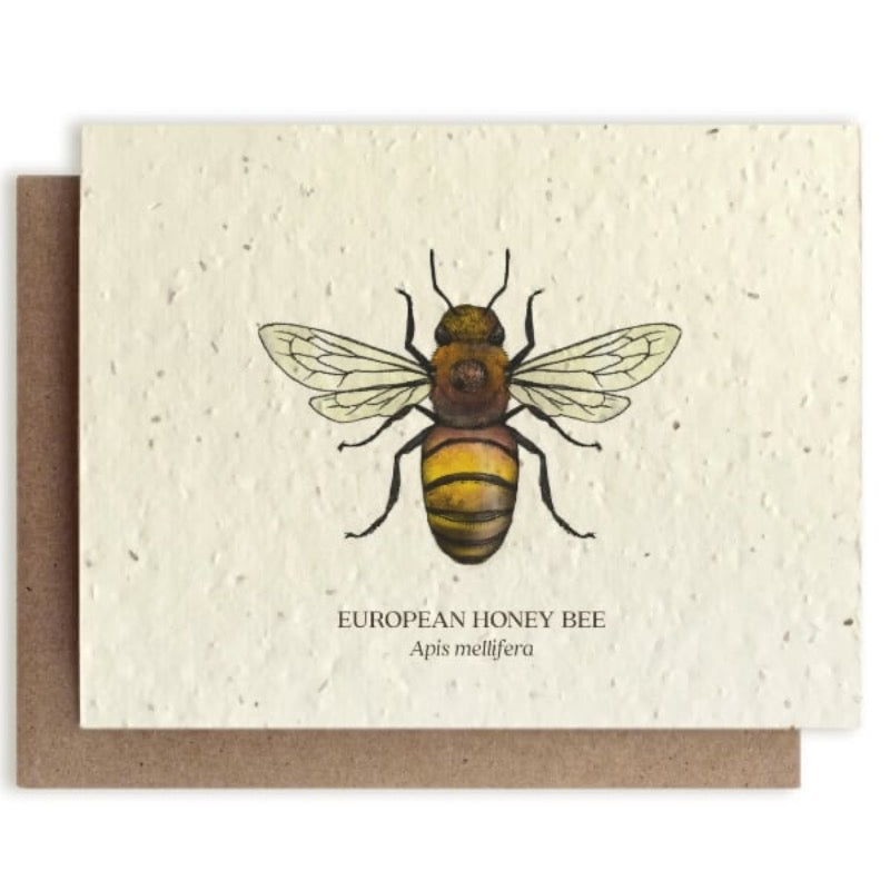 Greeting card with made with plantable seeds. European honey bee design