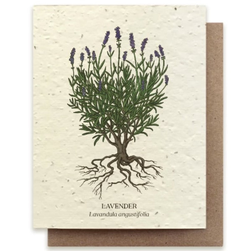greeting card with lavender image and plantable seeds