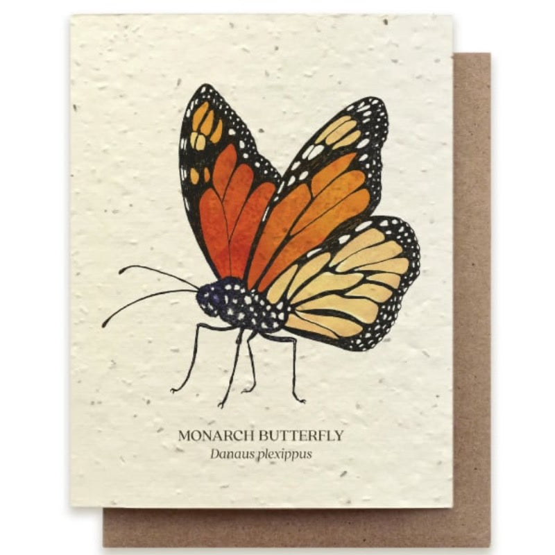Monarch Butterfly plantable wildflower seed greeting card