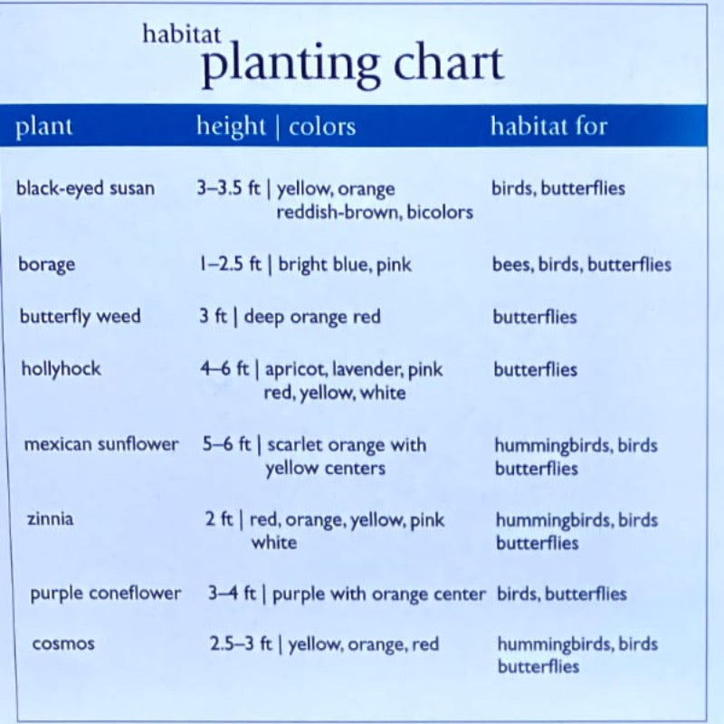 Planting chart for plants that attract butterflies 